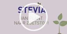 stevia-plant-zoetstof