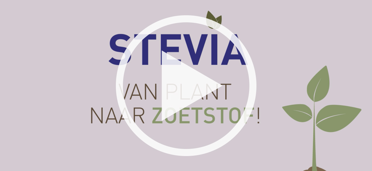 stevia-plant-zoetstof